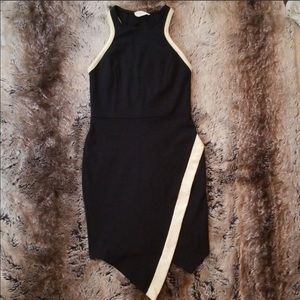 Necessary Clothing dress